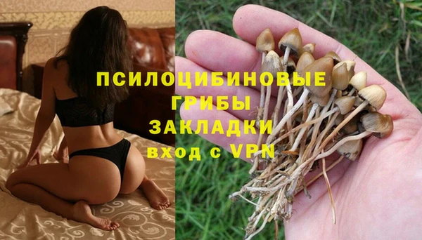a pvp Дмитриев
