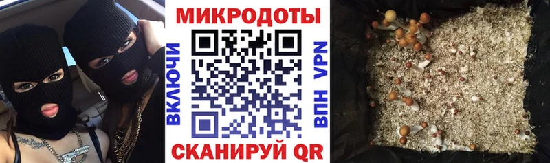 где купить наркоту  дарк нет состав  Галлюциногенные грибы Magic Shrooms  Северо-Курильск 
